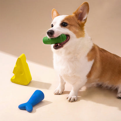 Dog Teeth Chewing Toy in 3 Pieces