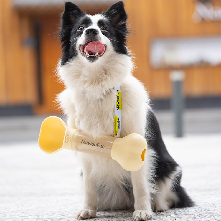 Bone-shape Outdoor Water Bottle 286ml