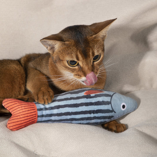 cat toy sea bass blue