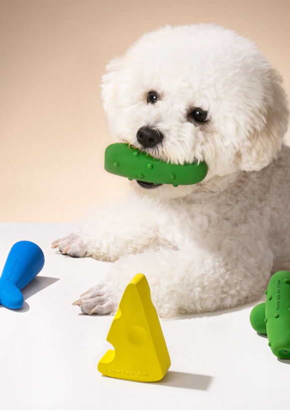 Dog Teeth Chewing Toy in 3 Pieces