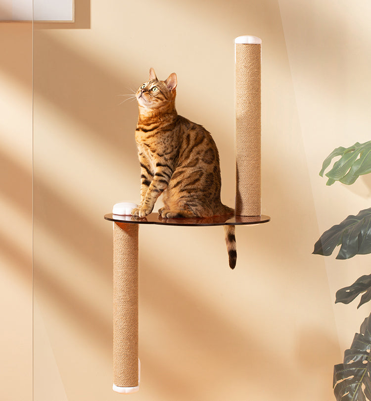 Floating Window Cat Tree with Scratchpost (Medium)