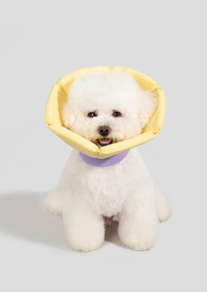 Cone Collar in Yellow