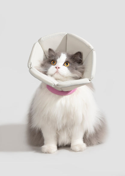 Cone Collar in Yellow