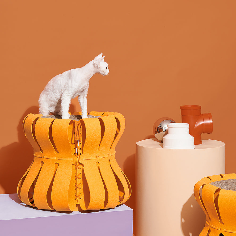 Fortreiziger kattenhuis in oranje