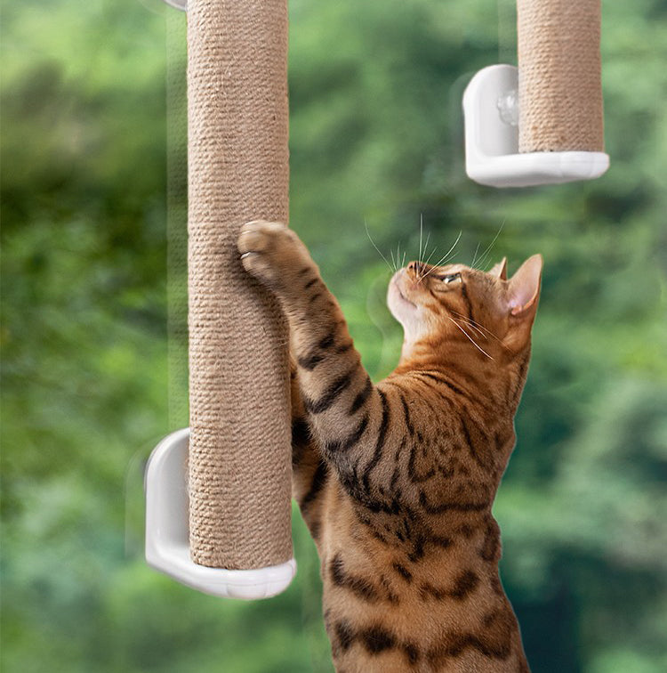 Floating Window Cat Tree with Scratchpost (Medium)