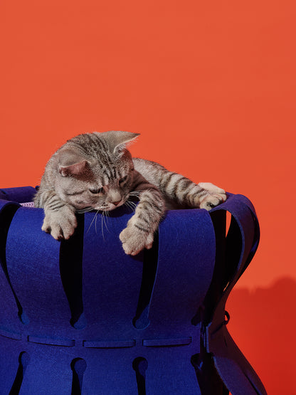 Fortreiziger kattenhuis in oranje