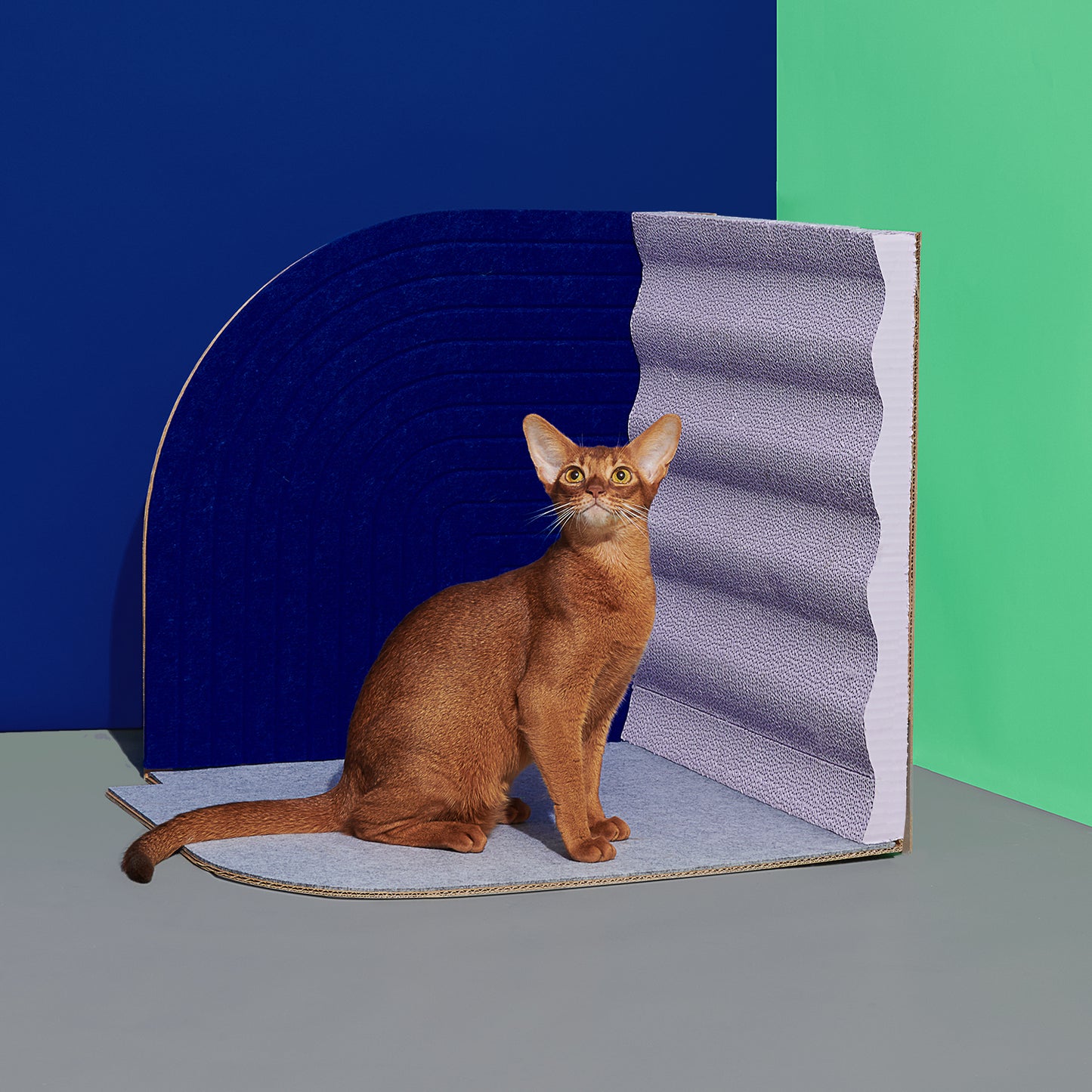 3³ Cat Scratcher in Velvet Blue