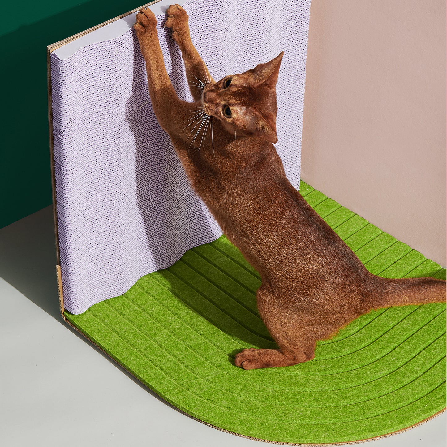 3³ Cat Scratcher in Lawn Green