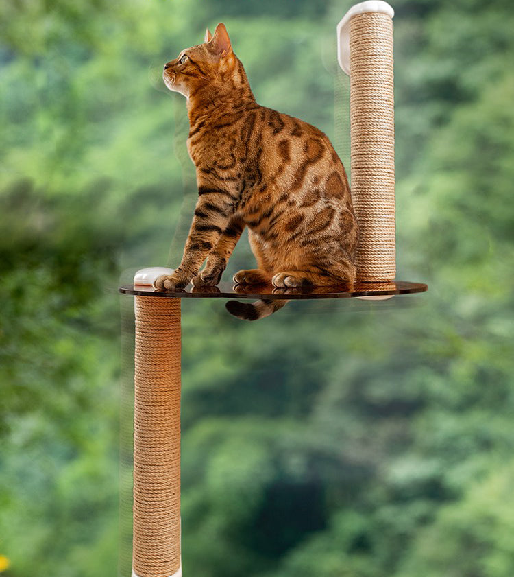 Floating Window Cat Tree with Scratchpost (Medium)