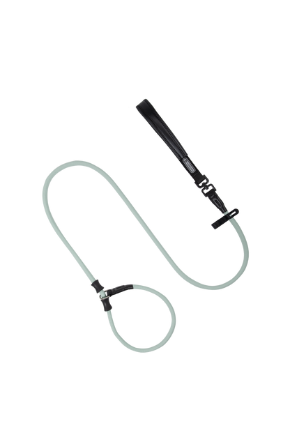 BoBo Dog Slip Leash (Thick) in Multiple Colours