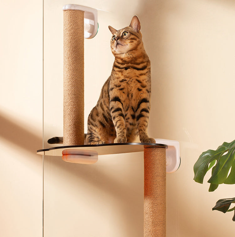 Floating Window Cat Tree with Scratchpost (Medium)